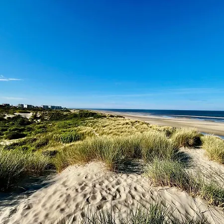 L'estuaire Ensoleillé