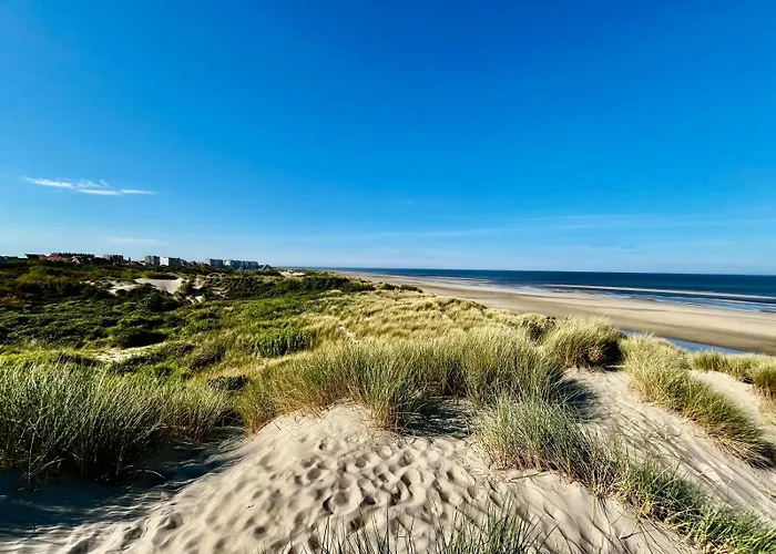 L'estuaire Ensoleille